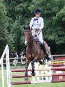 Image 256 in BECCLES AND BUNGAY RIDING CLUB SHOW JUMPING. AREA 14 QUALIFIER. 