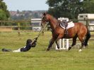 Image 278 in BECCLES AND BUNGAY RIDING CLUB SHOW JUMPING. AREA 14 QUALIFIER.