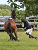 Image 279 in BECCLES AND BUNGAY RIDING CLUB SHOW JUMPING. AREA 14 QUALIFIER. 