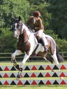 Image 37 in BECCLES AND BUNGAY RIDING CLUB SHOW JUMPING. AREA 14 QUALIFIER. 