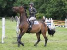 Image 387 in BECCLES AND BUNGAY RIDING CLUB SHOW JUMPING. AREA 14 QUALIFIER.