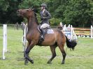 Image 387 in BECCLES AND BUNGAY RIDING CLUB SHOW JUMPING. AREA 14 QUALIFIER. 