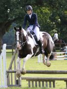 Image 5 in BECCLES AND BUNGAY RIDING CLUB SHOW JUMPING. AREA 14 QUALIFIER. 