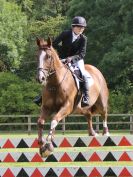 Image 54 in BECCLES AND BUNGAY RIDING CLUB SHOW JUMPING. AREA 14 QUALIFIER. 