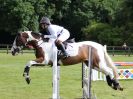 Image 67 in BECCLES AND BUNGAY RIDING CLUB SHOW JUMPING. AREA 14 QUALIFIER. 