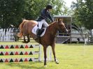 Image 76 in BECCLES AND BUNGAY RIDING CLUB SHOW JUMPING. AREA 14 QUALIFIER. 