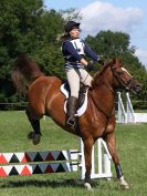 Image 15 in BECCLES AND BUNGAY RC. EVENTER CHALLENGE 31 JULY 2016
