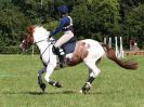 Image 30 in BECCLES AND BUNGAY RC. EVENTER CHALLENGE 31 JULY 2016