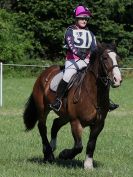 Image 8 in BECCLES AND BUNGAY RC. EVENTER CHALLENGE 31 JULY 2016
