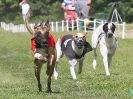 Image 106 in WHIPPET CLUB RACING ASSN. 3RD CHAMPIONSHIPS. 14 AUG 2016