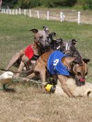 Image 116 in WHIPPET CLUB RACING ASSN. 3RD CHAMPIONSHIPS. 14 AUG 2016