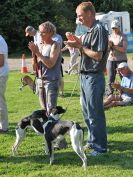 Image 3 in WHIPPET CLUB RACING ASSN. 3RD CHAMPIONSHIPS. 14 AUG 2016