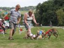 Image 38 in WHIPPET CLUB RACING ASSN. 3RD CHAMPIONSHIPS. 14 AUG 2016