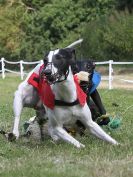 Image 78 in WHIPPET CLUB RACING ASSN. 3RD CHAMPIONSHIPS. 14 AUG 2016