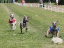 Image 80 in WHIPPET CLUB RACING ASSN. 3RD CHAMPIONSHIPS. 14 AUG 2016