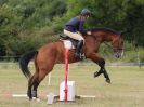 Image 157 in ADVENTURE RIDING CLUB MEMBER'S DAY. 4 SEPT 2016. SHOW JUMPING. GALLERY COMPLETE.