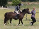 Image 41 in ADVENTURE RIDING CLUB MEMBER'S DAY. 4 SEPT 2016. SHOW JUMPING. GALLERY COMPLETE.