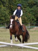 Image 47 in ADVENTURE RIDING CLUB MEMBER'S DAY. 4 SEPT 2016. SHOW JUMPING. GALLERY COMPLETE.