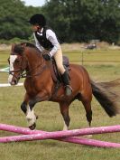 Image 51 in ADVENTURE RIDING CLUB MEMBER'S DAY. 4 SEPT 2016. SHOW JUMPING. GALLERY COMPLETE.