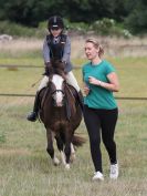 Image 60 in ADVENTURE RIDING CLUB MEMBER'S DAY. 4 SEPT 2016. SHOW JUMPING. GALLERY COMPLETE.