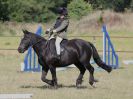 Image 85 in ADVENTURE RIDING CLUB MEMBER'S DAY. 4 SEPT 2016. SHOW JUMPING. GALLERY COMPLETE.