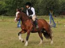 Image 96 in ADVENTURE RIDING CLUB MEMBER'S DAY. 4 SEPT 2016. SHOW JUMPING. GALLERY COMPLETE.
