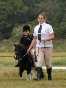 Image 15 in ADVENTURE RIDING CLUB. 4 SEPTEMBER 2016. DRESSAGE.GALLERY COMPLETE.