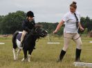 Image 16 in ADVENTURE RIDING CLUB. 4 SEPTEMBER 2016. DRESSAGE.GALLERY COMPLETE.