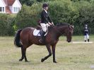 Image 36 in ADVENTURE RIDING CLUB. 4 SEPTEMBER 2016. DRESSAGE.GALLERY COMPLETE.
