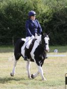 Image 45 in ADVENTURE RIDING CLUB. 4 SEPTEMBER 2016. DRESSAGE.GALLERY COMPLETE.
