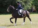 Image 60 in ADVENTURE RIDING CLUB. 4 SEPTEMBER 2016. DRESSAGE.GALLERY COMPLETE.