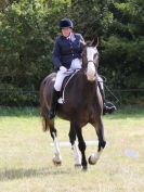 Image 62 in ADVENTURE RIDING CLUB. 4 SEPTEMBER 2016. DRESSAGE.GALLERY COMPLETE.