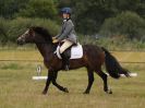 Image 78 in ADVENTURE RIDING CLUB. 4 SEPTEMBER 2016. DRESSAGE.GALLERY COMPLETE.
