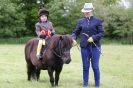 CAROUSEL RIDING CLUB  EQUINE FESTIVAL  9 JUNE 2013