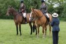 Image 14 in CAROUSEL RIDING CLUB EQUINE FESTIVAL 9 JUNE 2013