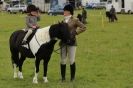 Image 15 in CAROUSEL RIDING CLUB EQUINE FESTIVAL 9 JUNE 2013