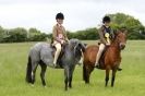 Image 18 in CAROUSEL RIDING CLUB EQUINE FESTIVAL 9 JUNE 2013