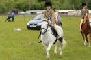 Image 19 in CAROUSEL RIDING CLUB EQUINE FESTIVAL 9 JUNE 2013