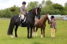 Image 20 in CAROUSEL RIDING CLUB EQUINE FESTIVAL 9 JUNE 2013