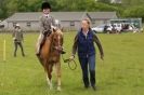 Image 21 in CAROUSEL RIDING CLUB EQUINE FESTIVAL 9 JUNE 2013