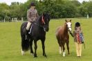 Image 22 in CAROUSEL RIDING CLUB  EQUINE FESTIVAL  9 JUNE 2013