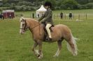 Image 23 in CAROUSEL RIDING CLUB EQUINE FESTIVAL 9 JUNE 2013