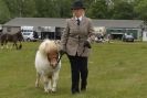 Image 24 in CAROUSEL RIDING CLUB  EQUINE FESTIVAL  9 JUNE 2013