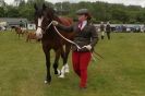 Image 26 in CAROUSEL RIDING CLUB EQUINE FESTIVAL 9 JUNE 2013