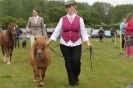 Image 27 in CAROUSEL RIDING CLUB EQUINE FESTIVAL 9 JUNE 2013