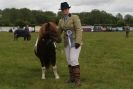 Image 29 in CAROUSEL RIDING CLUB EQUINE FESTIVAL 9 JUNE 2013
