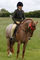 Image 3 in CAROUSEL RIDING CLUB EQUINE FESTIVAL 9 JUNE 2013