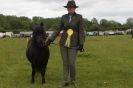 Image 30 in CAROUSEL RIDING CLUB  EQUINE FESTIVAL  9 JUNE 2013