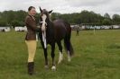 Image 31 in CAROUSEL RIDING CLUB EQUINE FESTIVAL 9 JUNE 2013