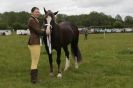 Image 31 in CAROUSEL RIDING CLUB  EQUINE FESTIVAL  9 JUNE 2013